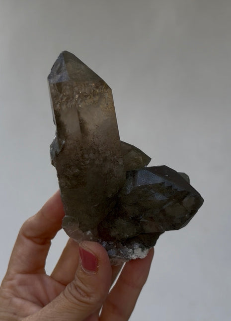 Rare ! Smoky Green Chlorite Quartz - From Chamonix, French Alps