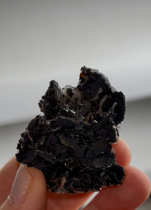 Black Barite Roses