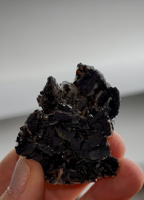 Black Barite Roses