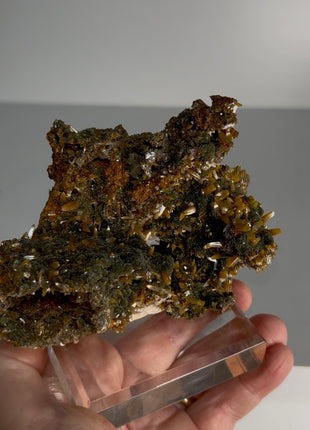 Wulfenite with Mimetite Specimen