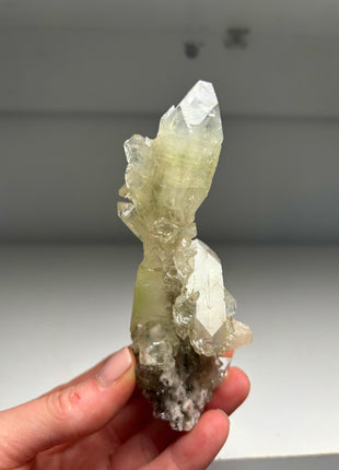 Finest !  Green Apophyllite Stalactite