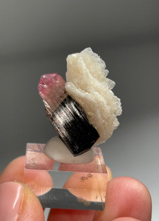 Pink Cap Tourmaline with Cleavelandite