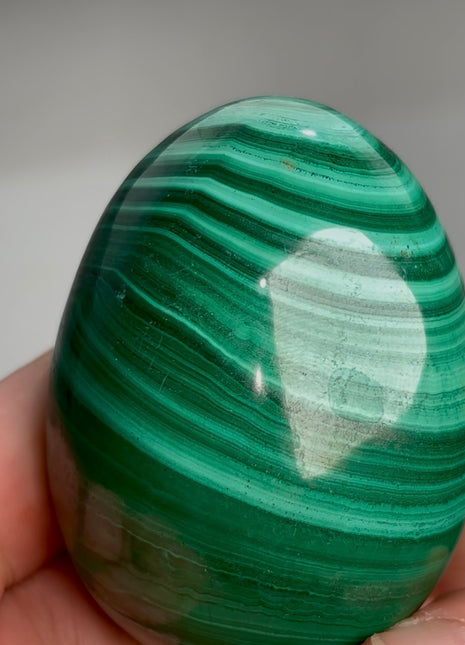 Green Malachite Egg from Congo PM1167
