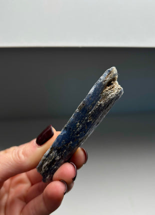 XL Size Blue Kyanite with Mica - From Zambia - 12 Pieces