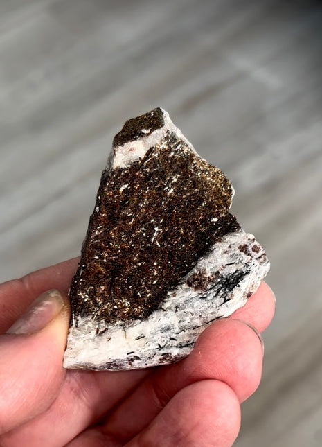 Astrophyllite Specimen from Khibniy Massif, Russia