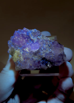 New Arrival ! Galaxy Fluorite