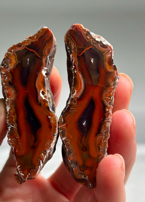 New ! Black Sea Agate Pair