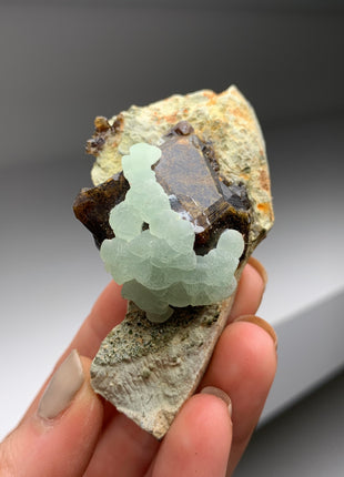 Wow ! Andradite Garnet with Green Prehnite