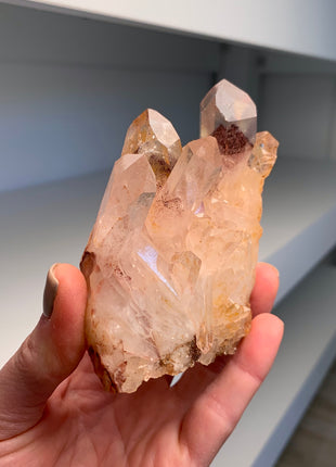 Great Phantoms ! Sunset Quartz 🔥 *