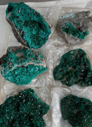 6 Pieces ! Green Dioptase Lot