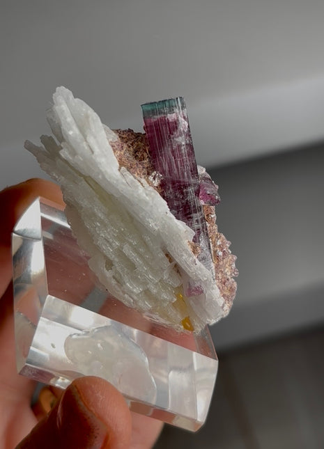 Blue Cap Tourmaline with Cleavelandite Collection # 705