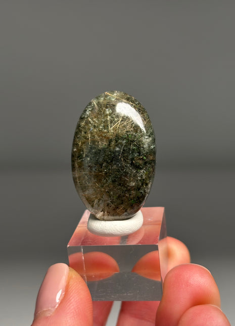 Rare 💎 Rutile Green Chlorite Quartz - From Himachal Pradesh