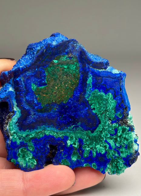 Malachite with Blue Azurite Collection # 237