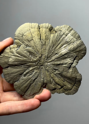 Pyrite Sun - From Sparta, Illinois