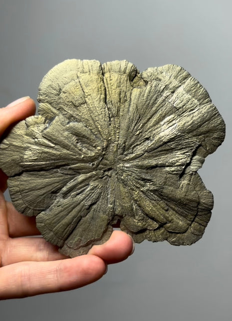 Pyrite Sun - From Sparta, Illinois