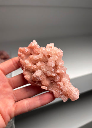 9 Piece Lot ! High Grade Pink Halite from Searles Lake, California