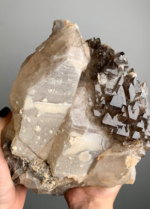 Wow !! Elestial Smoky Quartz with Terminated White Quartz - From Namibia 🔥🔥 *