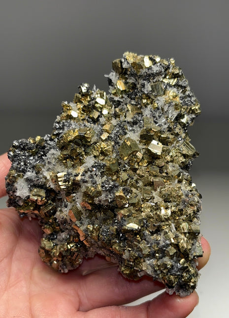 High Grade Pyrite with Quartz