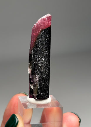 Pink Cap Tourmaline