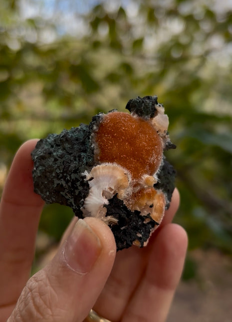 Bright Orange Thomsonite with Mesolite