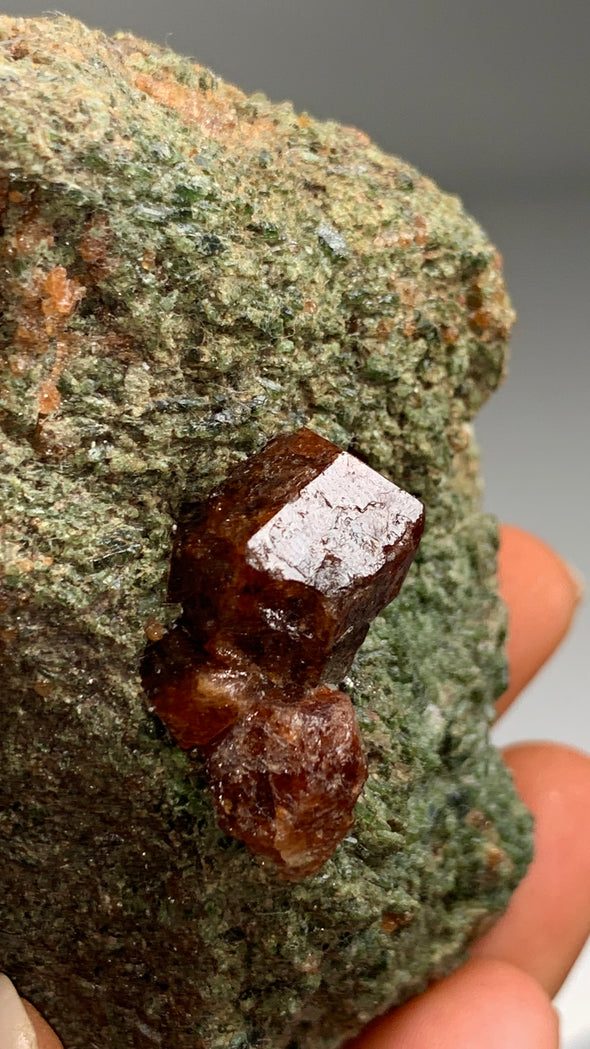 Hessonite Garnet with Clinochlore - From Italy