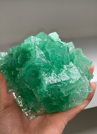 Gemmy Green Halite with Big Cubes