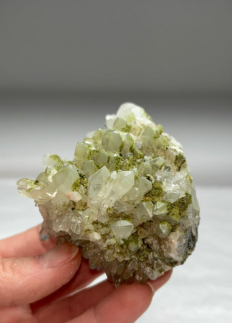 Druzy Green Epidote with Quartz