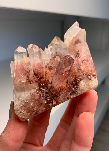 Great Phantoms ! Sunset Quartz 🔥 *