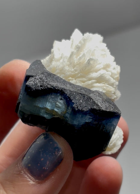 Blue Tourmaline with Albite Flower PM1647