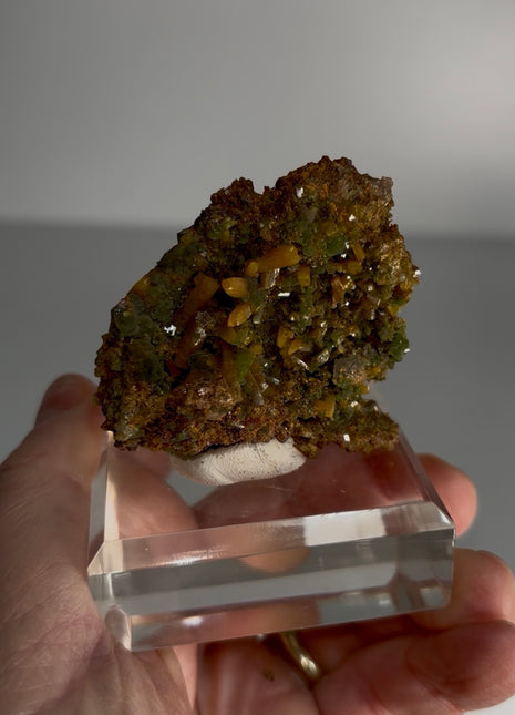Wulfenite with Mimetite Specimen