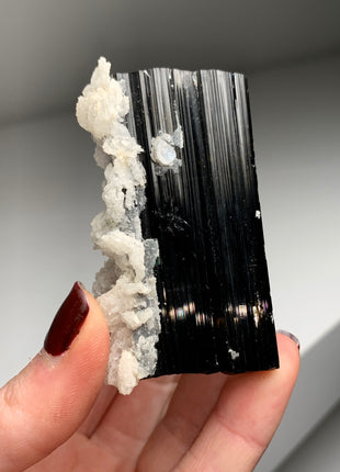 New Arrival ! Glassy Black Tourmaline with Snow Albite Flowers and Muscovite