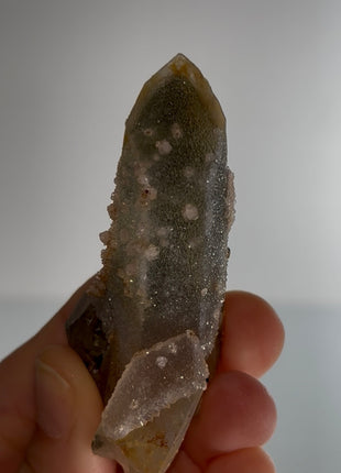 Stardust Quartz PM0705
