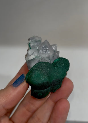 Malachite with Blue Quartz PM1496