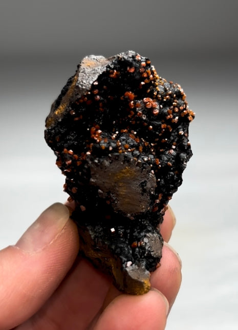 New Arrival ! Black Goethite with Red Vanadinite