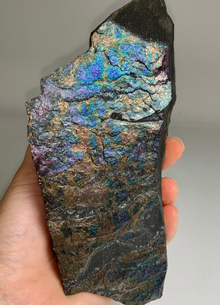 Rare ! Bornite Specimen 🌈 - From Lubin mine, Poland