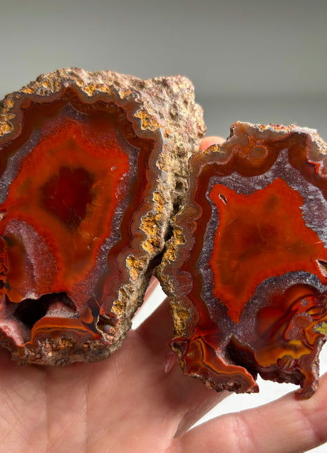 Wow ! Black Sea Agate Pair