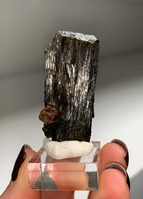 New Arrival ! Garnet var. Andradite with Glossy Epidote - From Mali