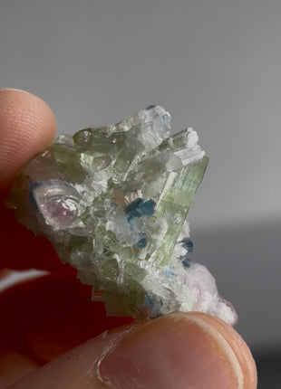 Blue Tip Tourmaline PM0673