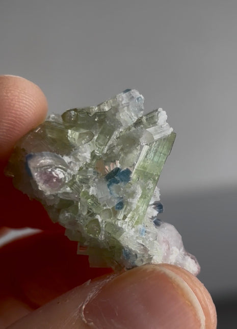Blue Tip Tourmaline PM0673