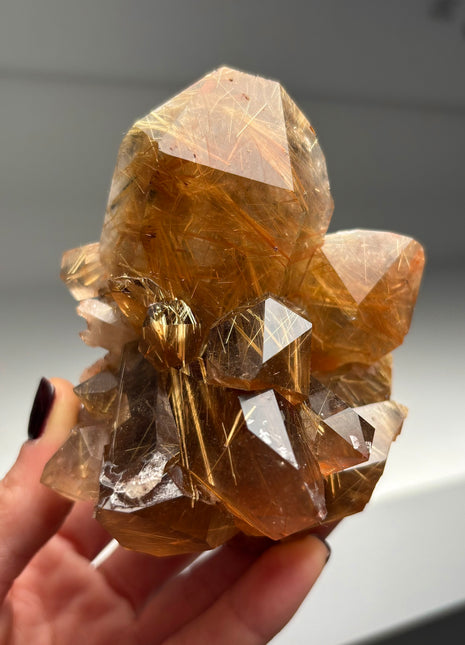 Rutille Quartz from Novo Horizonte, Brazil Collection # 255 *