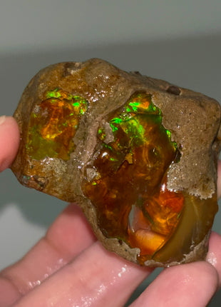 Ethiopian Opal 🌈