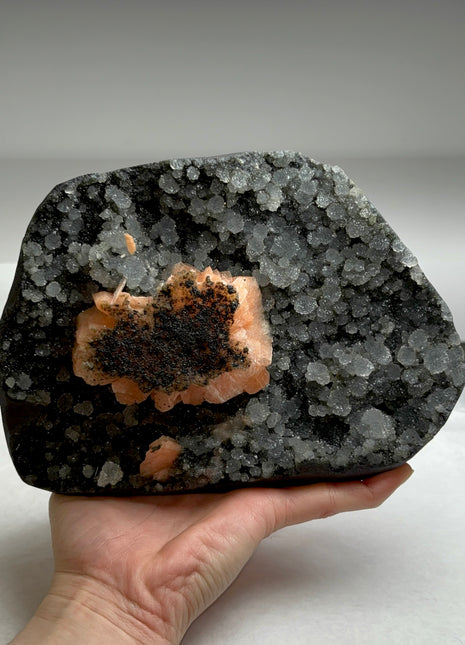 Sparkly Black Chalcedony Geode with Pink Stilbite