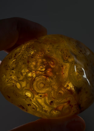 Rare Enhydro Agate PM1004