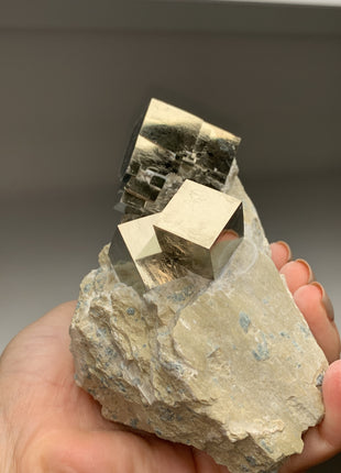 New ! Cubic Pyrite on Matrix from Navajun, Spain