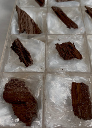 12 Pieces ! Permineralized Fossil Wood Fairy Wood Lot
