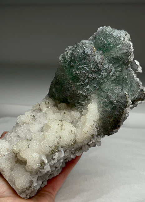 Rare Green Fluorite w/ Pyrite, Quartz, Calcite  Collection # 575