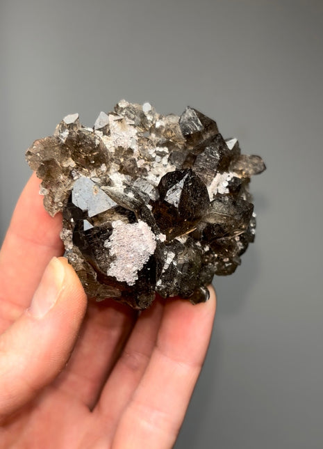 New ! Alpine Smoky Quartz
