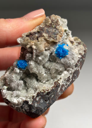 6 pieces ! Electric Blue Cavansite Lot