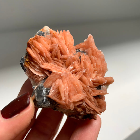 Orange Bladed Barite Flower with  Cerussite and Galena