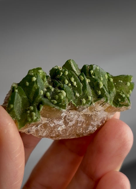 New ! Green Duftite with Calcite PM1660